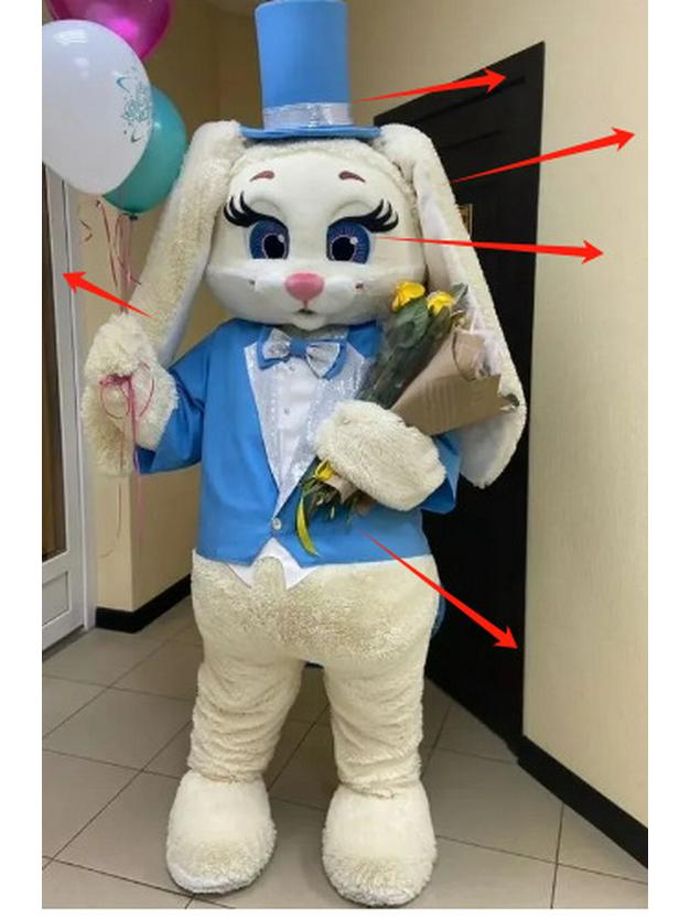 Long-Eared Rabbit Cosplay Costume Set