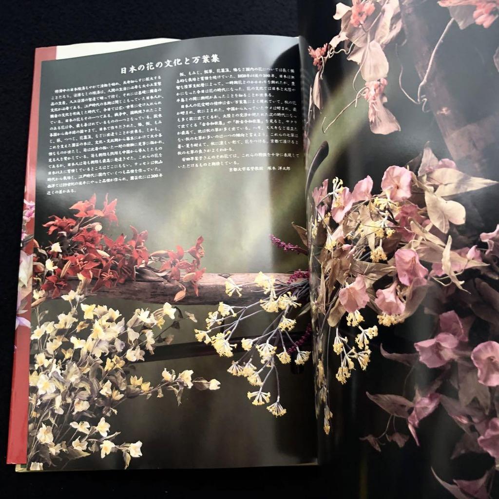 [USED] Signed Sayako Yasuda's collection of works "Somebana - Manyo no Hanaba Hundred Tastes" with actual large-sized paper