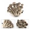 Gemüsemodell Pilzfiguren Matsutake Auster Künstliche Simulation Pilz Kräuterseitling Pflanzenpilzmodell Gartendekoration