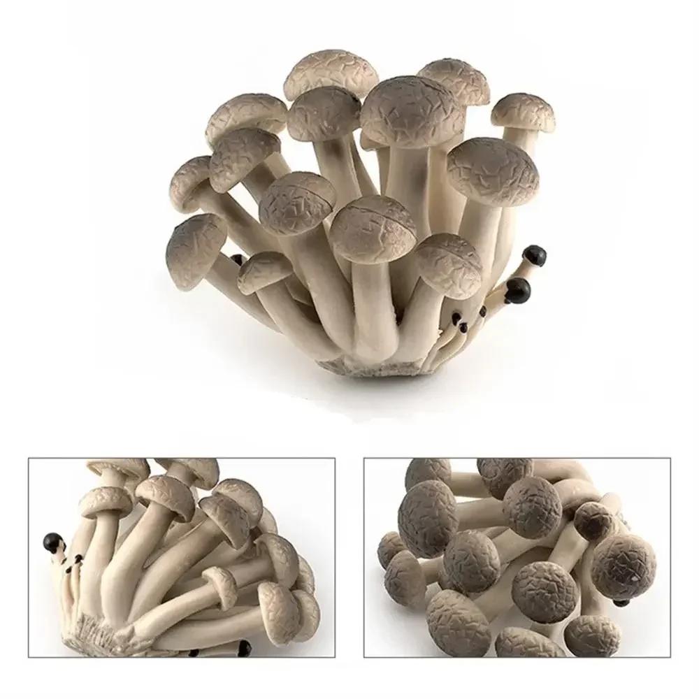 Gemüsemodell Pilzfiguren Matsutake Auster Künstliche Simulation Pilz Kräuterseitling Pflanzenpilzmodell Gartendekoration