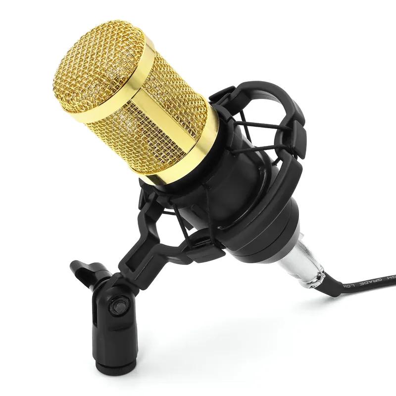Professional BM 800 karaoke microphone BM800 studio condenser mikrofon mic bm-800 For KTV Radio Braodcasting Singing Recording