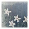 Used Kusukusu Zakka Ant Embroidery Pearl Beads Floral Stole Gradient Cotton 80% Silk 20% Embroidery Rayon 100% Country Simple Nordic 50cm x 180cm