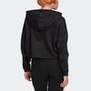 Adidas Originals Sweatshirt Women's Black (Unisex) Sweatshirts GC6792