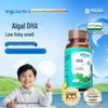Witsbb Algae Oil DHA Supplement for Infants and Children