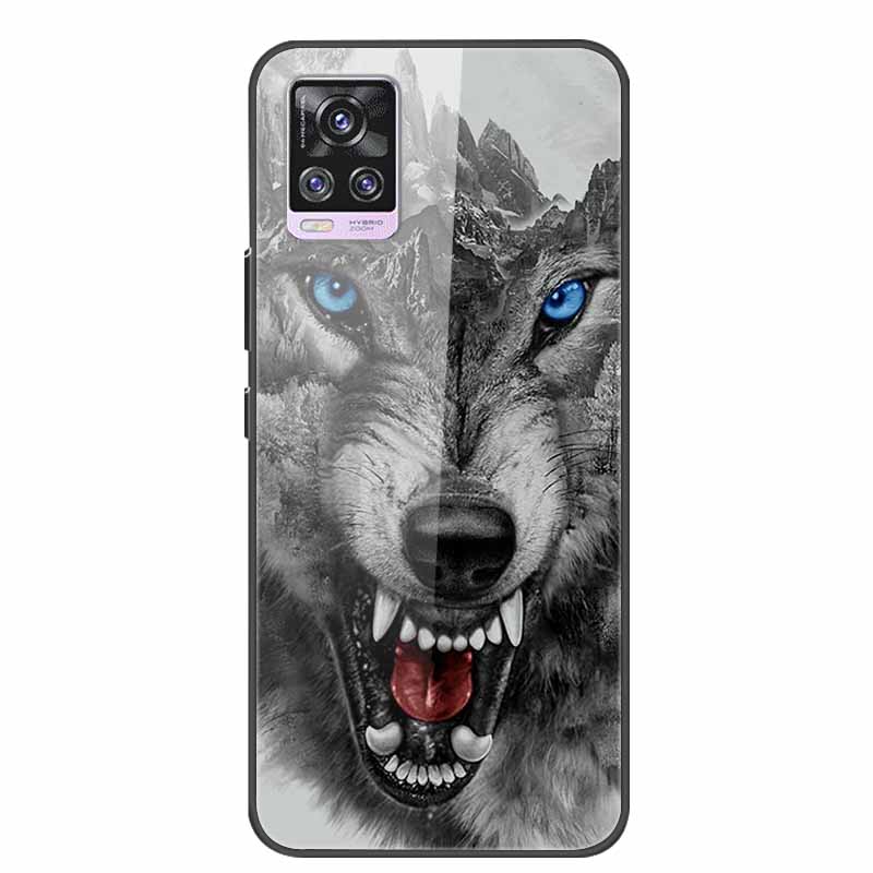 Glass Back Cover For Vivo V20 Pro 5G Case Coque Hard Tempered Glass Case For Vivo V20 Pro 2020 Phone Case Cover Soft Bumper Para