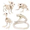 Dekoracje Sceniczne na Halloween Zwierzęca Czaszka Szkielet Ozdoba Symulacja Plastikowa Wrona Mysz Skorpion Dekoracyjne Rekwizyty