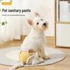 Hygienehosen für Hündinnen: Anti-Belästigung-Windeln für Teddy & Bichon