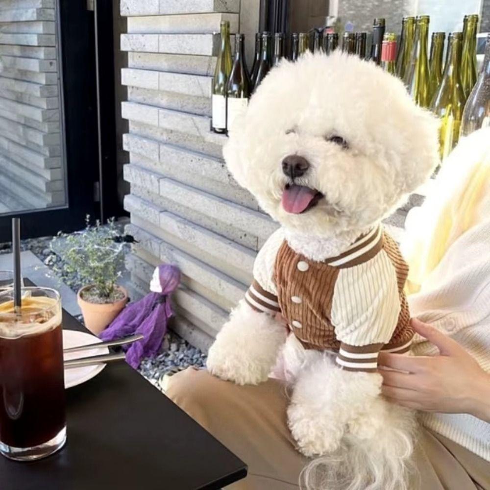 Warme zweibeinige Hundekleidung Bequemer Hundemantel Haustierkostüme Haustier-Baseballjacken Hundeshow