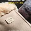 Gants femme hiver chaud équitation version coréenne velours épaissi froid et coupe-vent écran tactile hiver daim velours allemand étudiants