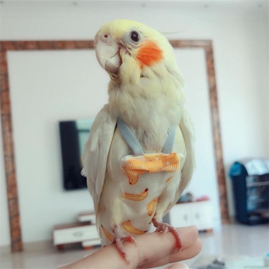 Small Bird Flight Suit Diaper - Adjustable Parrot Clothing for Pet Birds