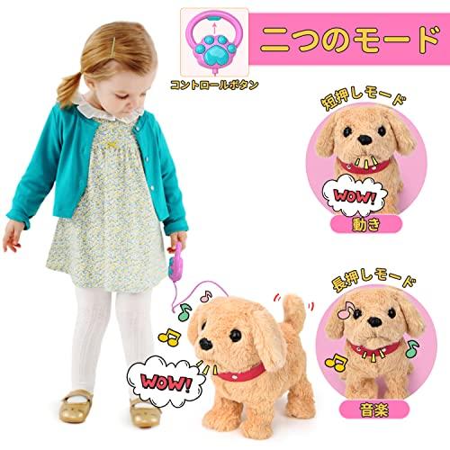 JoyGrow Pretend Play Set, Walk with Your Dog, Moving Plush Toy with Sound, Robot Dog, Pet Care Kit, Doctor Play Toy, Feeding, Educational Toy, Develop