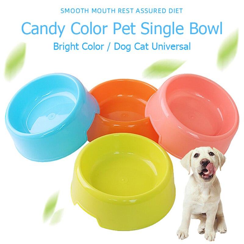 tiny dog bowls