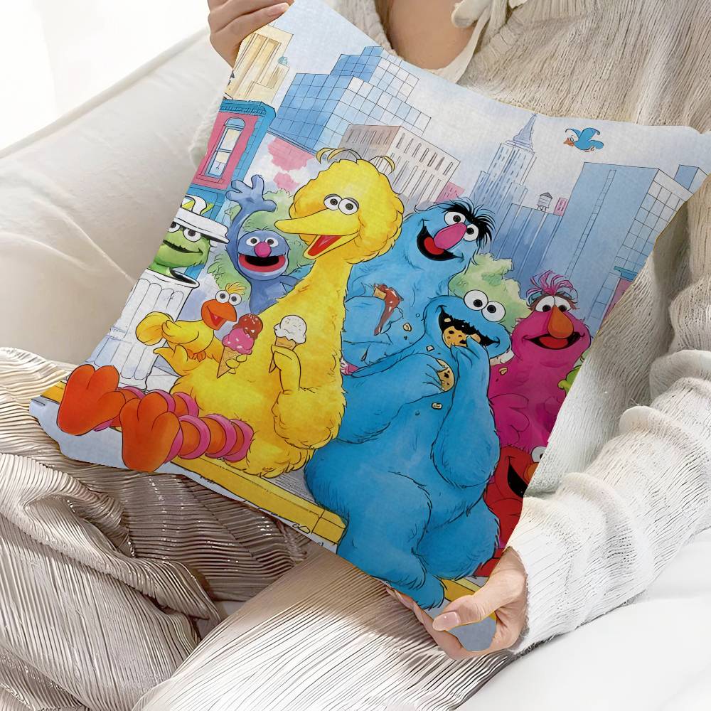 Anime Cartoon S-Sesame S-Streets Pillow Cushion Cover Pillowcase Living Room Sofa Home Decor Customized