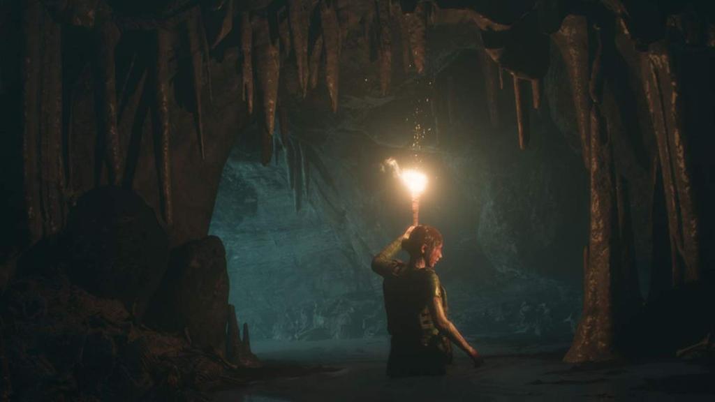 The Dark House of Ashes North PS5-Bilder (Import Amerika) -