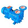 Xiaoying Water Ring Vacuum Pump Cast Iron Impeller