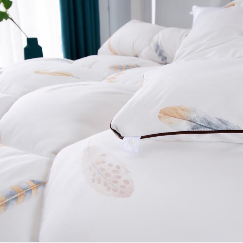 Dohia Aileita Feather Silk Warm Quilt