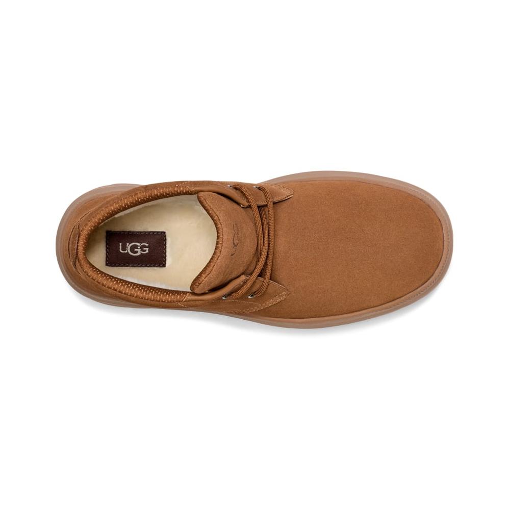 Sneakers UGG Chesnut Burleigh Chukka