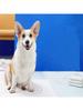 5pcs of highly absorbent pet diaper pads suitable for dogs, disposable leak proof control puppy and kitten training