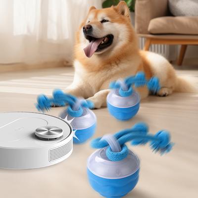 Interaktives Hundespielzeug Ball Elektrischer rollender Ball mit Seil Bewegungsaktiviert Katzenspielzeug 3 Modi Haustier-Trainingsspielzeug für kleine mittelgroße Hunde