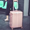 Travel Luggage