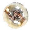 Carbon Brushes Holder Motor Tool Replacement Accessories for Drill Hammer