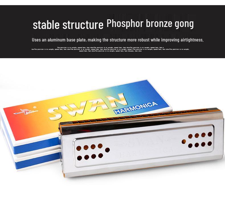 Swan 24-Hole Dual-Key Double-Sided Diatonic Harmonica for Beginners