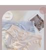 Mid Waist Ice Silk Women's Underwear, Pure Cotton Crotch Lace Seamless Breathable and Comfortable Triangular Shorts for Girls