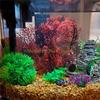 KX4B 7Pcs Artificial Aquariums Decoration with Fishtanks Water Plant and Cave Rock for Vibrancy Underwater Landscape Accessory