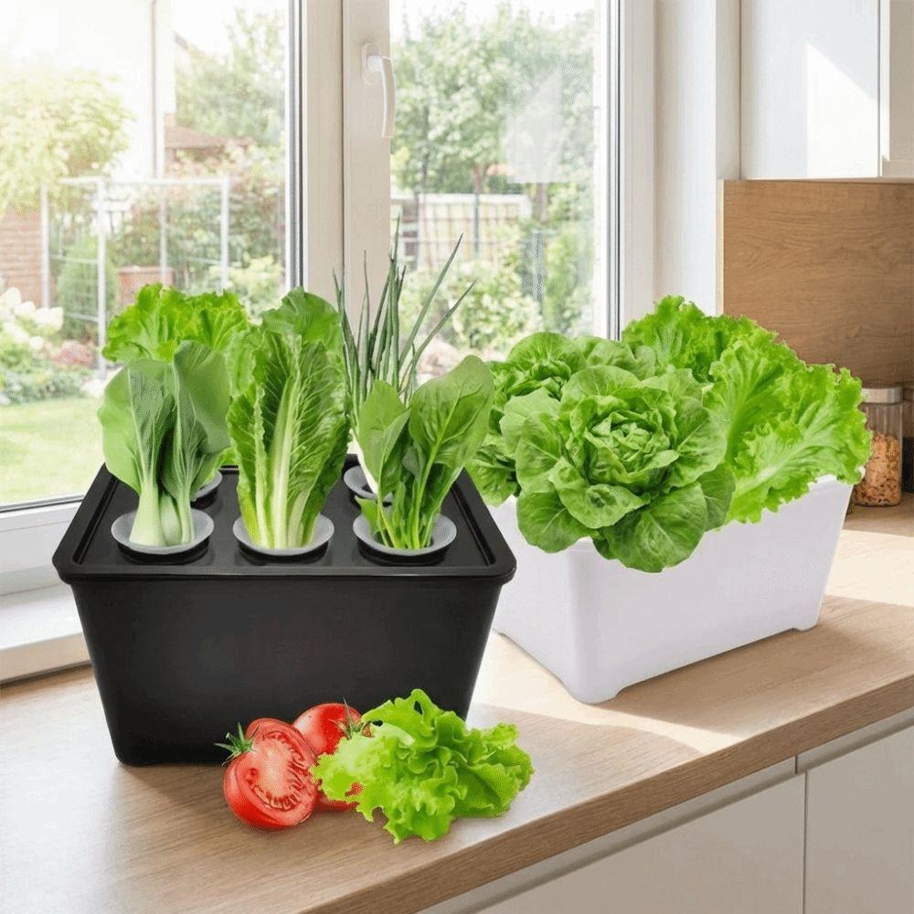 6 Holes Hydroponic Grower Kit Self Watering Nursery Pots Soil-Free Planting Box  Vegetable Growing