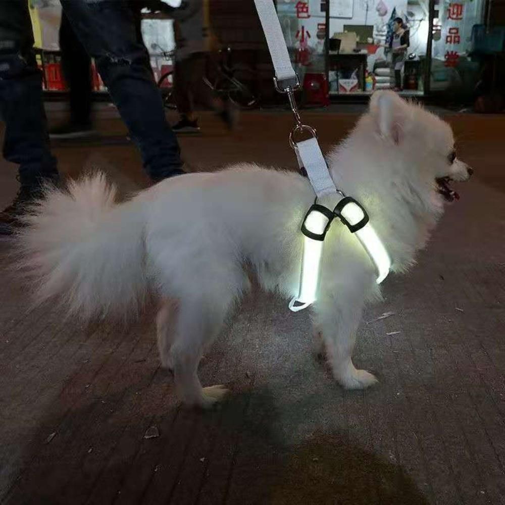 Imbracatura LED per Cani Ricaricabile Regolabile Laccetto Pet Luminoso Morbido Gilet Lampeggiante per Cani Attività all'Aperto