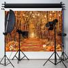 7x5Ft Fall Backdrops for Photography Autumn Thanksgiving Fall Banner
