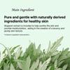 ENOUGH Refresher Foam Cleanser Line (Heartleaf / Mung Bean / Carrot / Mugwort) 100ml (13 Options)