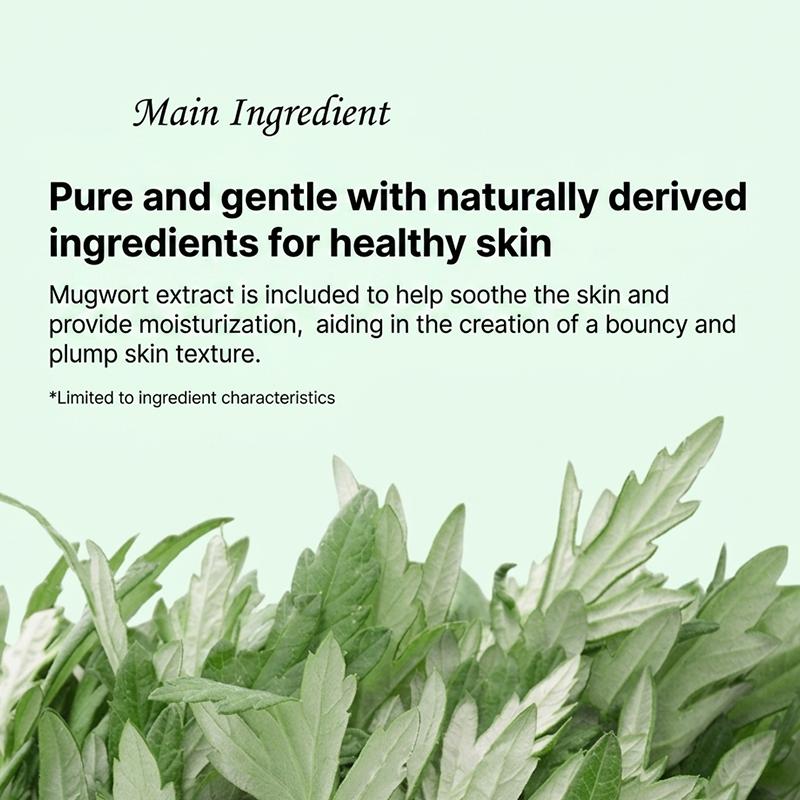 ENOUGH Refresher Foam Cleanser Line (Heartleaf / Mung Bean / Carrot / Mugwort) 100ml (13 Options)