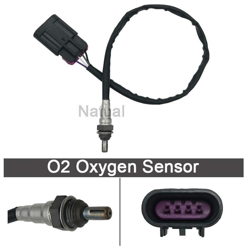 Oxygen O2 Sensor For Indian Chief Chieftain Roadmaster Scout Springfield Victory Octane Polaris Sportsman 110 450 570 4016021