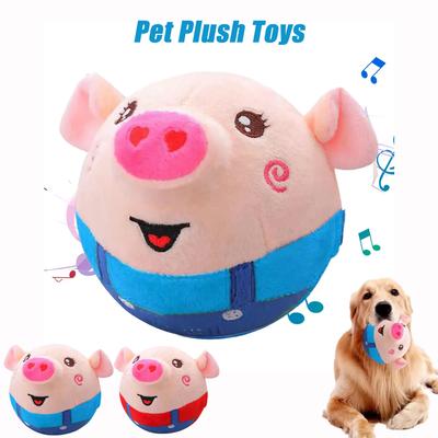 Chiens – Jouets pour chiens