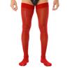 Mens Glossy See Through Stockings Thin Shiny Solid Color Stretchy Sheer Thigh High Socks