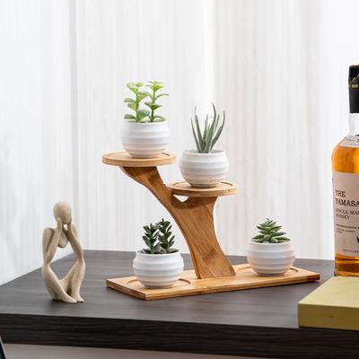 Półka Bambusowa Narożna Stojak na Kwiaty na Biurko Wielowarstwowa Dekoracja Domu Sukulenty Bonsai Organizer Kształt Gałęzi Drzewa Przechowywanie Kwiatów
