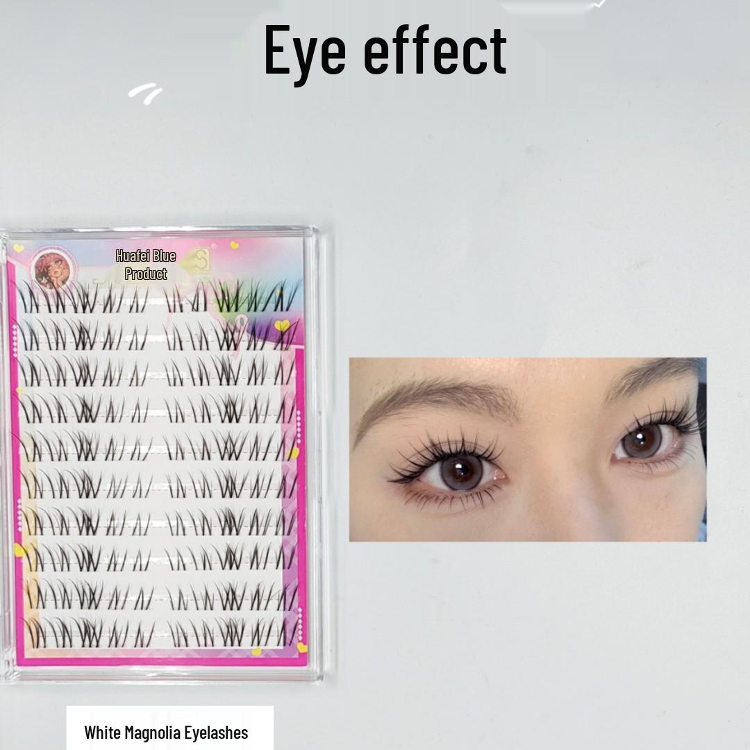 Dai Fei Lan Xi Magnolia False Eyelashes