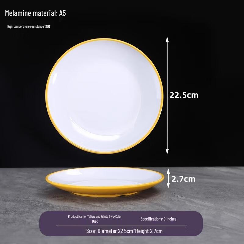 Van Gogh Hotel Restaurant Round Ceramic Dinner Plate