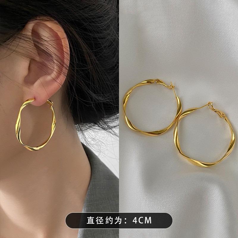 Silver Needle Autumn and Winter Metal Earrings Earrings Niche Fashion Cold Wind Earrings Versatile Light Luxury Premium Earrings