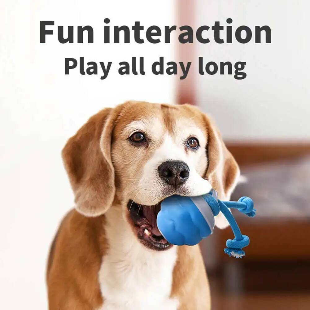 Smart Interactive Dog Toys Rolling Ball With Rope Motion Activated Automatic Moving Squeaky Dog Training Puppy Chew Toy Balls