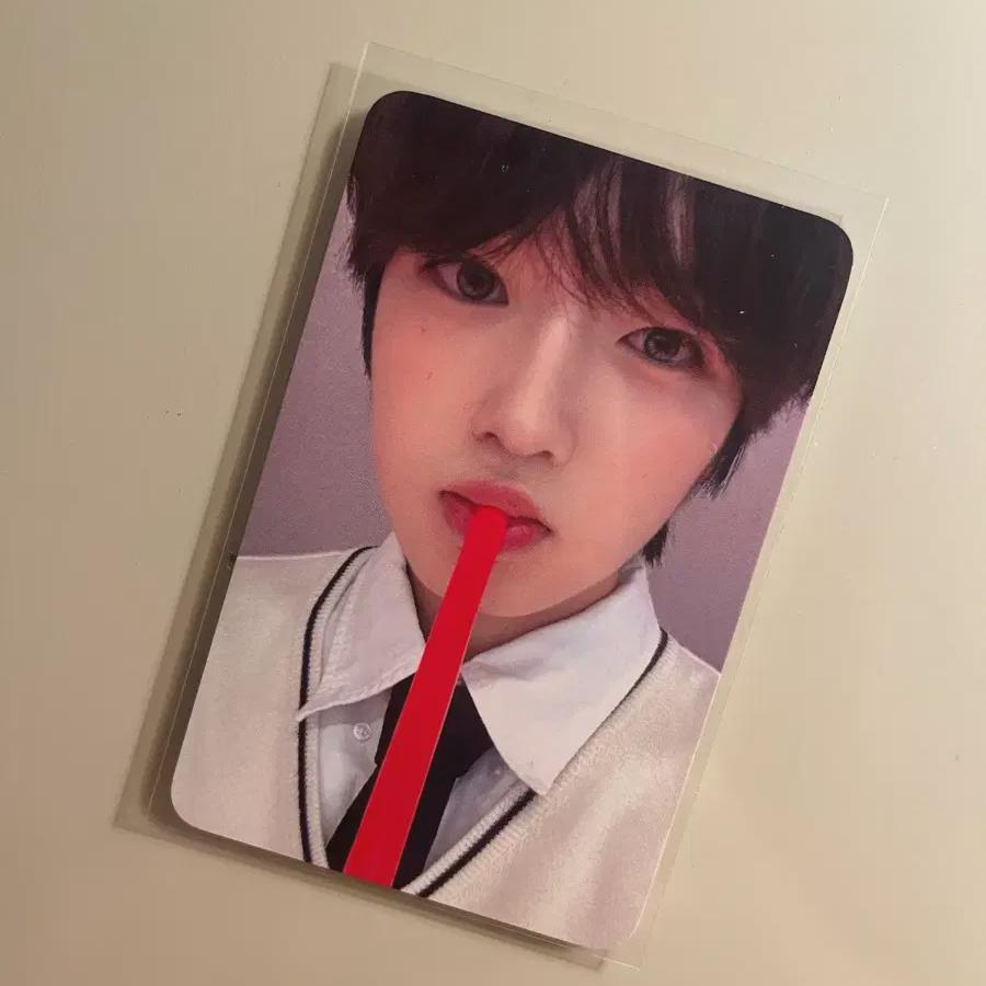 

Nct Wish Ncitywish With Mud Steady Sakuya Photocard