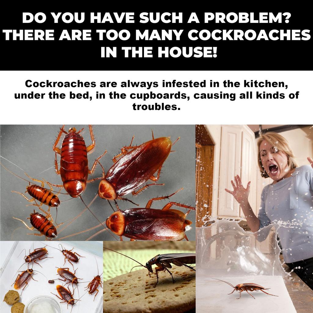 Cockroach Medicament Cockroach Killing Glue Decoy Insecticide Decoy Household Cockroach Killing Kitchen Cockroach Stickers Six Pieces