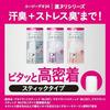 AG Deo 24 Deodorant Stick DX Unscented 20g2 Pack + Sample (Quasi-Drug)