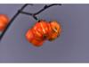 Artificial Small Pumpkin and Berry Branch Decoration for Hotels and Banquets