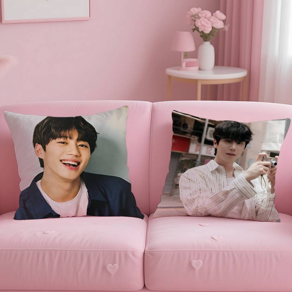 Kpop Style Hot Singer Lee J-Jun Young Pillow Case Anti-Dustmite Pillowcase Invisible Zipper Silky Short Plush Sofa Cushion Cover