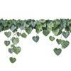 UV Transparent Green Plant Window Sticker: Bedroom Balcony Decor