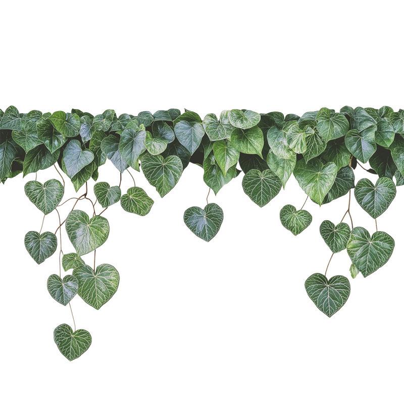 UV Transparent Green Plant Window Sticker: Bedroom Balcony Decor