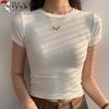 Woodpecker Women's Ribbed Round Neck Cropped T-shirt