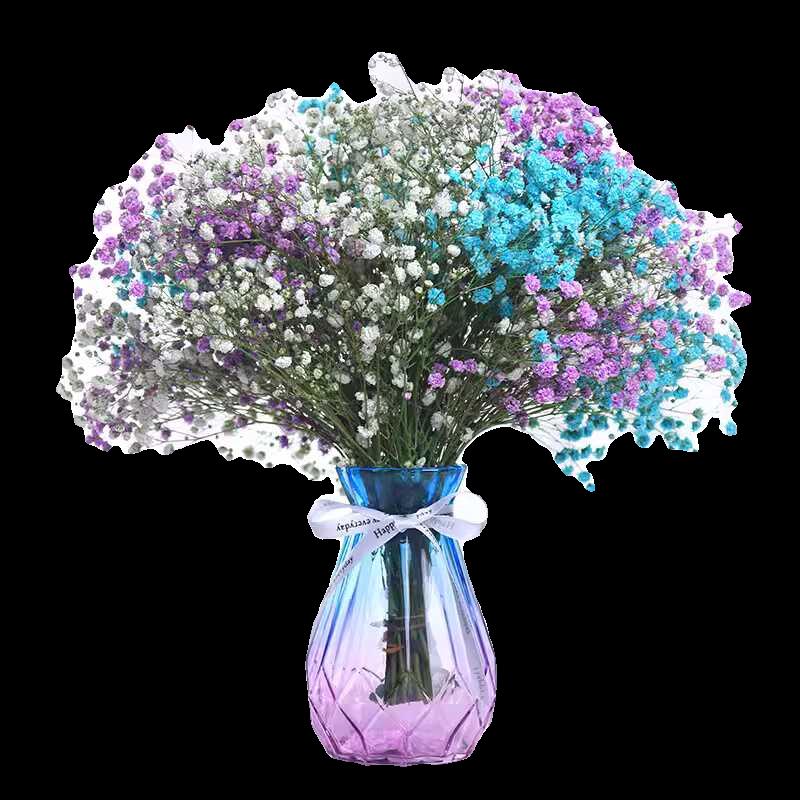 Baby's Breath Dried Flower Bouquet - Real Decorative Flowers for Living Room and Gift Packaging